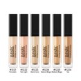 thumbnail image 4 of pitrice Silky Smooth Concealer Spots Dark Circle Acne Covering Liquid Foundation Waterproof Cosmetics, 4 of 8