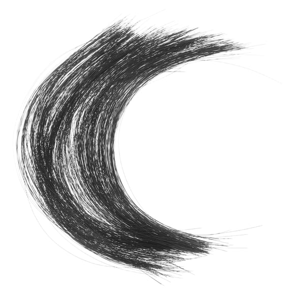 Cat Whiskers Collection Simulated Animal Whiskers Black 1 Set for Crafting Enthusiasts