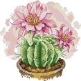 thumbnail image 1 of Kit Punto Cruz Cactus Impreso 14 Quilates Con Hilo Algodón Ecológico Y Bordado Parcial (H963), 1 of 9