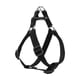 thumbnail image 1 of Arnés para perros LupinePet Basic Solids de nailon negro ajustable, 1 of 1
