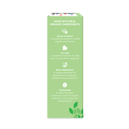 Hyland's Naturals Kids Organic All in One Cough Syrup D/N Combo