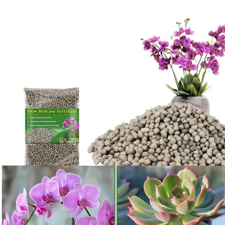 Slow Release Fertilizer,QZS Nutrients for a Healthy Phalaenopsis,0.71lb All Purpose Organic Plant Food,Gardening Supplies for Succulents,Orchid