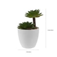 thumbnail image 2 of FESTFENDS Suculentas Artificiales Pequeñas En Maceta Para Oficina Y Hogar Decorativo, 2 of 7