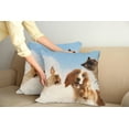 thumbnail image 2 of Ambesonne Funny Throw Pillow Cover 2 Pack, Cats Dogs in Sky Clouds, 16", Multicolor, 2 of 7