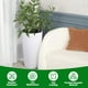 thumbnail image 4 of Yeshouse Juego de 2 macetas altas de 76 cm con autorriego, con monitor de nivel de agua y cubo interior extraíble para plantas de interior y exterior, patio y balcón, 4 of 5