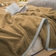 thumbnail image 5 of Manta para siesta de oficina, 1 unidad, funda para sofá de 150 x 200 cm, terciopelo de poliéster con estampado de piñas, transpirable, cómoda para el hogar y el salón (caqui)., 5 of 9
