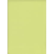 FABRIC SELECTION 98%POLY 2%SPAN DOUBLE KNIT TECHNO SCUBA SOLID 58/60" LIME (3 YARD PRECUT)