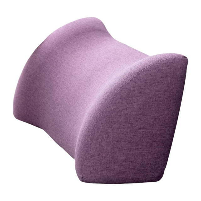 Esquirla Coussin de Soutien Dorsal Doux Coussin de Chaise pour Canapé Inclinable Voiture Violet