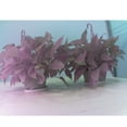 thumbnail image 3 of 1 Set Objectif Il de Poisson 130 Degrés Grand Angle 5 Mégapixels Lumière Infrarouge Kit de Caméra de Nuit pour Raspberry Pi 4B/3B+/Zero/WH, 3 of 12