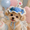 Blue#20, variant on Hand-Woven Pet Knit Hat for Cats and Dogs, Cute Floral Knitted Headband with Elastic Strap, Soft Party Photography Props and Birthday, Lightweight Sun & Wind Protection