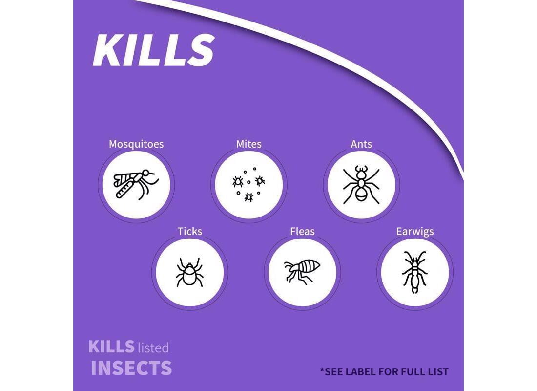 Bonide Eight Insect Control Garden Insecticide - Kills Beetles, Ants, Aphids - 32 oz. Spray