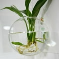 thumbnail image 4 of Daily Mix Store Acrylic Plexiglass Fish Bowl Wall Hanging Fish Pet Products Wall Decor Mount P9m8 Fish Fish For Betta, 4 of 9