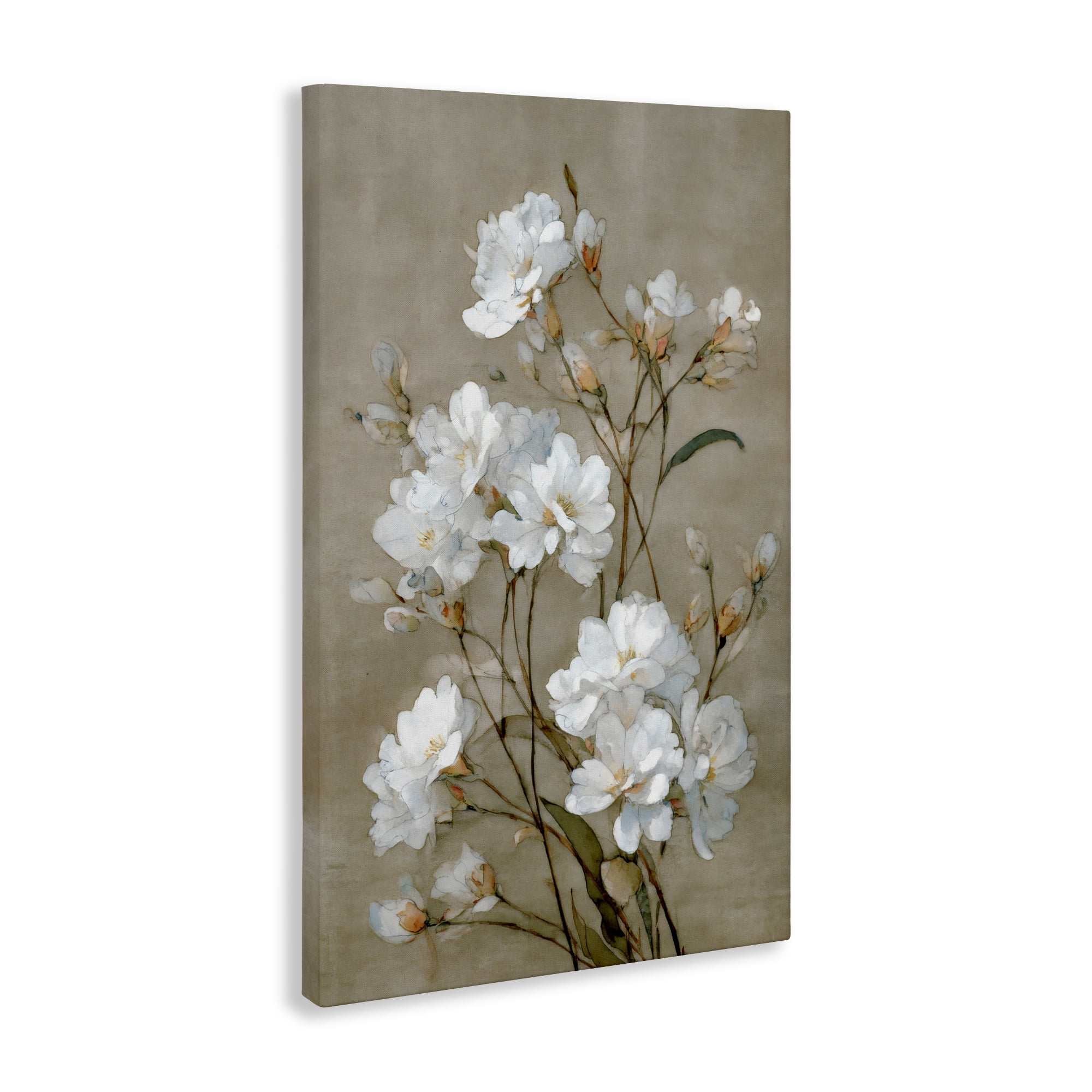 Stupell Industries Aged White Botanical Study Canvas Wall Art, design by Petal Prints Design