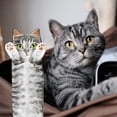 thumbnail image 3 of Toallas de mano DaisyJoy Cat divertidas decorativas para baño, 3 of 7