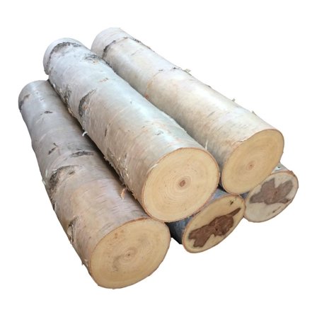 Large Birch Fireplace Log Set of Five
