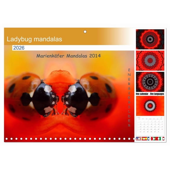 Ladybug mandalas (Monthly Wall Calendar 2026 16.5 x 23.4 (open)), CALVENDO 14 Month Calendar