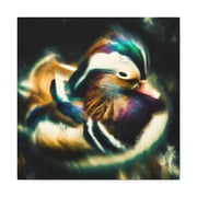 Mandarin Duck Expressionism - Canvas