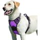 thumbnail image 1 of Arnés para perros morado, grande, ajustable, reflectante, antitirones, fácil de poner, con asa de control, transpirable, duradero, para perros medianos y grandes., 1 of 5