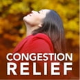 thumbnail image 3 of Equate 12 Hour Non-Drowsy Sinus Decongestant Pseudoephedrine HCl Extended-Release Tablets, 120 mg, Maximum Strength, 20 Count, 3 of 8