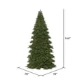 thumbnail image 3 of Vickerman 12' x 78" Oregon Fir Artificial Christmas Frame Tree, Warm White 5mm WA LED Lights, 3 of 4
