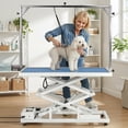 thumbnail image 6 of Toyandona Electric Stainless Steel Adjustable Height Lifting Table Stand for Outdoor Use White, 6 of 12