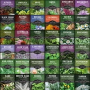 Medicinal Herb Seed Collection — 36 Healing Heirloom Varieties, Perennial