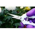thumbnail image 4 of Garden Pruning Shears,Bypass Hand Pruner Stainless Steel Gardening Scissor,Tree Cutter Clippers Secateur Trimmer Kit Set of 3with Gardening Gloves,Purple, 4 of 12