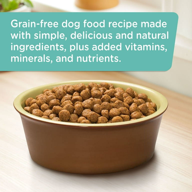 Rachael ray grain free dog best sale food walmart