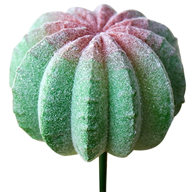Coofit Plastic Cactus Pick Unpotted - DIY Mini Artificial Plant Stem Faux Cactus Decor