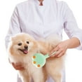 thumbnail image 4 of Pet Spray Comb Massage Comb Cat Comb Dog Comb Cat Cleaning Pet Brush Pet Spray Combing, 4 of 5