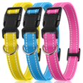 thumbnail image 1 of Pack de 3 collares ajustables de nailon para perros PetJoy de 20 a 69 cm, 1 of 9