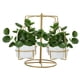 thumbnail image 3 of Maceta, Macetas Suculentas Colgantes, Soporte Para Plantas, Centro Comercial De Oficina, Barra De Jardinería Para El Hogar ANGGREK AC3112, 3 of 8