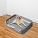thumbnail image 1 of Almohadilla para baño para perros de interior que mantiene las patas y el suelo limpios. Inodoro de entrenamiento para mascotas para perros pequeños y gris, 1 of 10