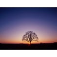thumbnail image 2 of PhotoINC Studio 24x19 White Modern Wood Framed Museum Art Print Titled - Sundown, 2 of 4