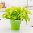 thumbnail image 5 of Coofit Artificial Plant Lifelike Decorative Fake Leaf Fake Plant Artificial Greenery, 5 of 5