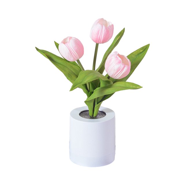 Naiovety Luz nocturna de ahorro de energía con luz para el cuidado de los ojos para regalo, para cualquier ocasión, lámpara decorativa de Type3 NO3