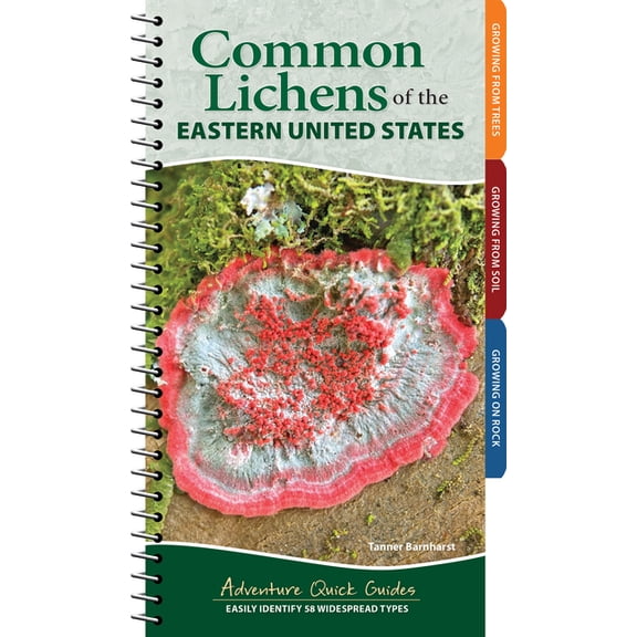 Adventure Quick Guides Common Lichens of the Eastern United States: Easily Identify 58 Widespread Types, (Spiral-Bound)