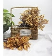 thumbnail image 2 of JAKY-Global Babys Breath Silk Artificial Flowers 6 Bundle European Fake Flowers Decor Wedding Party Fall Stems Decoration Bouquets DIY Home Garden,Farmhouse,Living Room Decor (Beige Brown-6pcs), 2 of 10