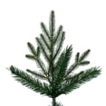 thumbnail image 2 of Vickerman 9' x 60" Kingston Fraser Fir Artificial Christmas Tree, Unlit, 2 of 2
