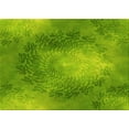 thumbnail image 1 of Ahgly Company Indoor Rectangle Patterned Dark Lime Green Area Rugs, 2' x 5', 1 of 6