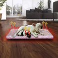 thumbnail image 2 of Cama Calefaccionada para Perros, 50X40 cm, color Rosa, 2 of 6