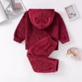 thumbnail image 3 of Baozhu Children Baby Boy Girl Clothes Sets Winter Kids Plush Hoodie Tops + Pant Outfits Baby Cotton Clothing Suit Baby Casual Outfits, 3 of 5