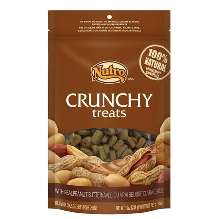 - (12 Pack) NUTRO Crunchy Halloween Dog Treats with Real Peanut Butter, 10 oz. Bag