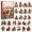 Winter Garden Cardinal, variant on LUZBLSM 24 Pcs Winter Cardinal Advent Calendar 2026, 2D Acrylic Red Bird Countdown Ornaments Blind Box, Hanging Charms Surprise Gift Set for Christmas Tree Home Decor
