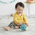 thumbnail image 4 of Baby Rattle Toy, Explore and More Roll Around Rattle, Hedgehog, 4 of 4
