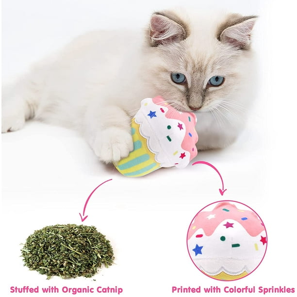 Cataire Jouets, 5 Pièces Jouets à l'herbe à Chat, Cataire Interactive Jouets  à Mâcher Jouet