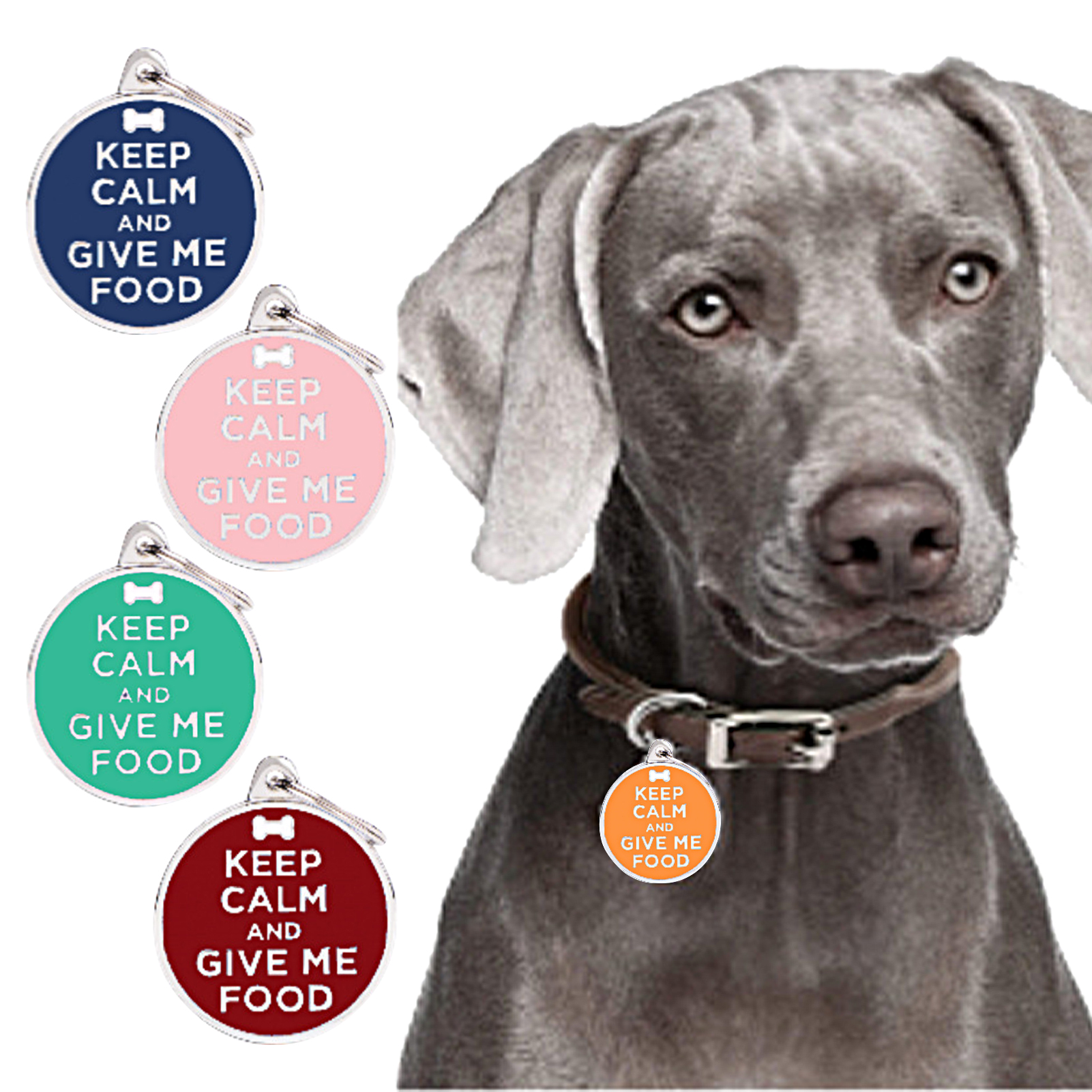 How Much Zinc Should I Give My Dog