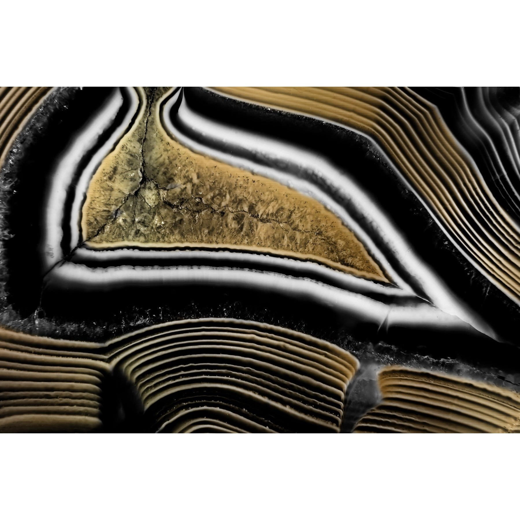 Marmont Hill "Bubbling Up" Painting Print on Wrapped Canvas