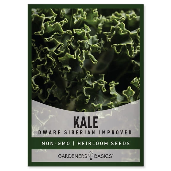 Dwarf Siberian Improved Kale Seeds