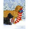 thumbnail image 1 of Carolines Treasures ASA2010CHF Drapeau Terrier Écossais en Toile Taille Maison, 1 of 4